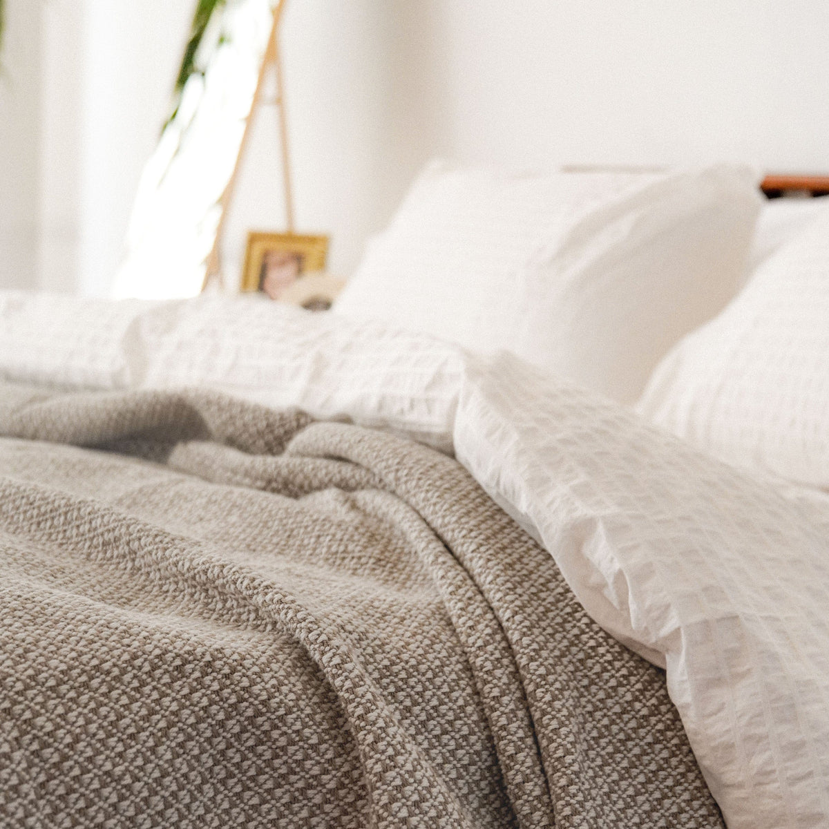 Bar Harbor Cotton Blankets
